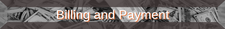 Billing and Payment Button New